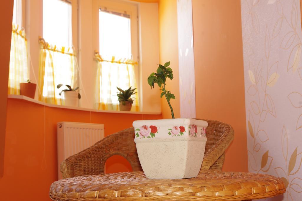 Bors Apartman Szeged Buitenkant foto